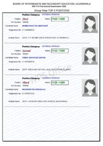 All Punjab Board Postion Holders Result 2025